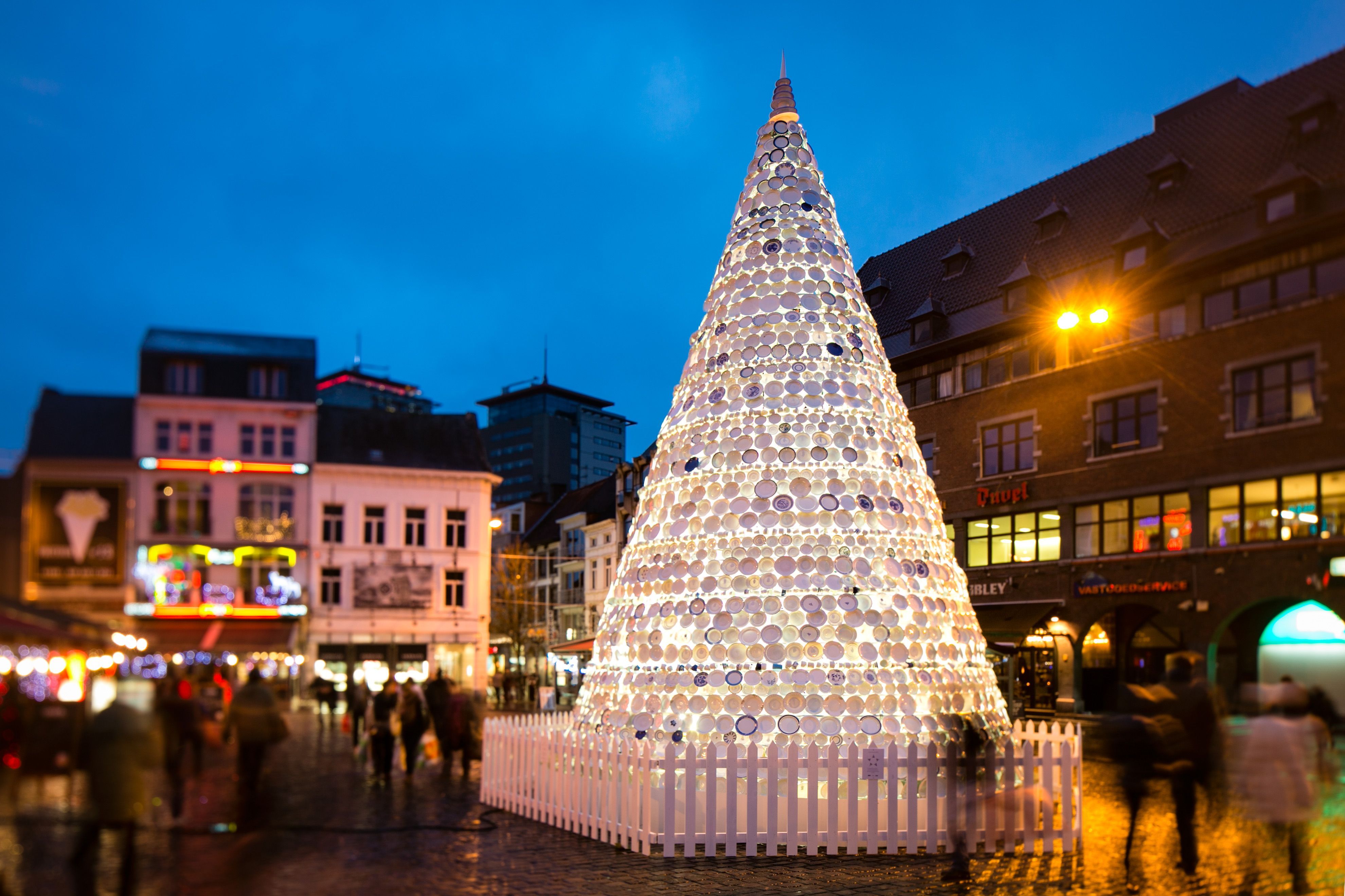 Belgian Christmas Tree Photos